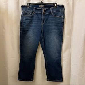 Torrid Crop Jeggings Denim Jeans Trendy Classic Stretch Dark Wash Size 18